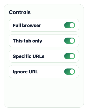 Data type and custom rule controls inside the Chrome extension